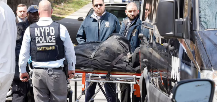 毛骨悚然！纽约惊现恐怖分尸案，移民"白富美"被捅60刀，家人将成下一目标